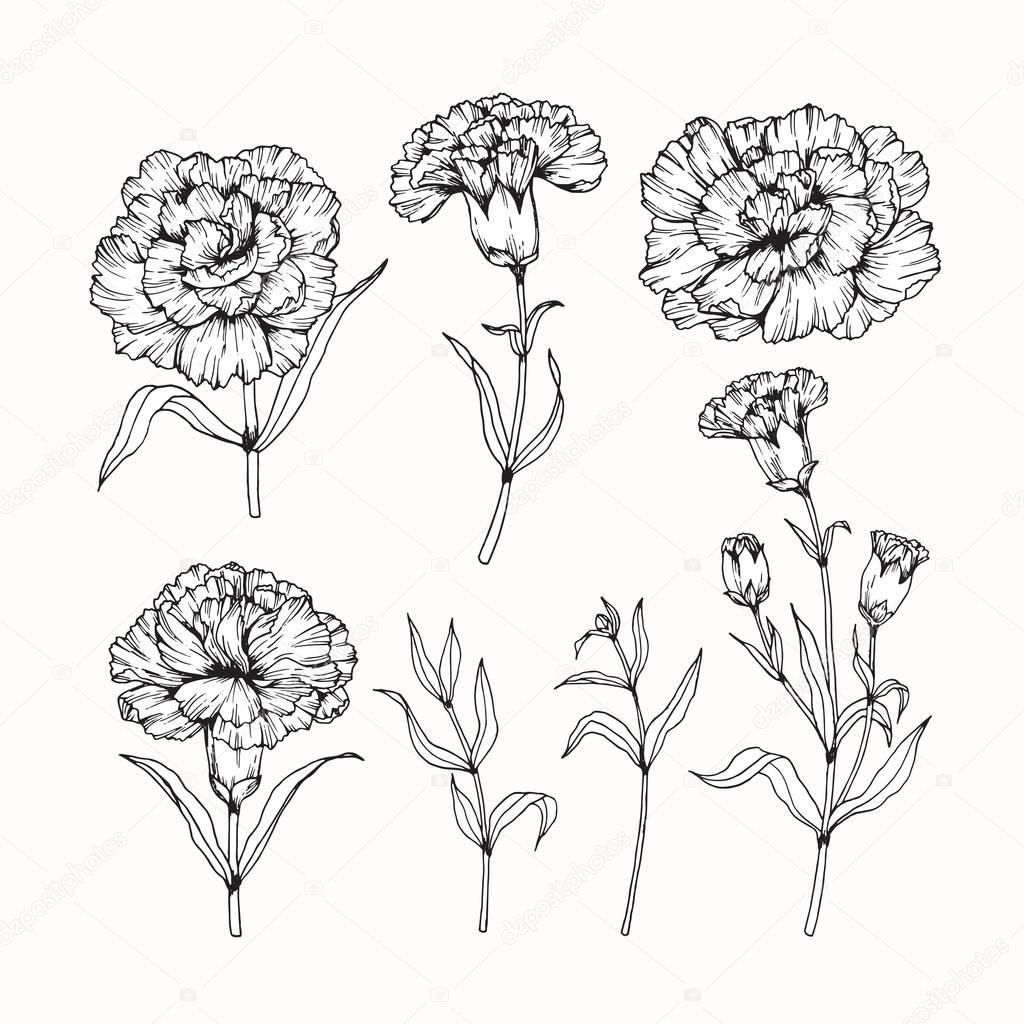 Free 227 Flower Line Art Svg SVG PNG EPS DXF File