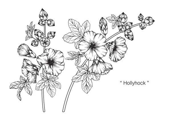 Hollyhock Bloem Tekenen Schetsen Met Zwarte Witte Lijn Kunst — Stockvector