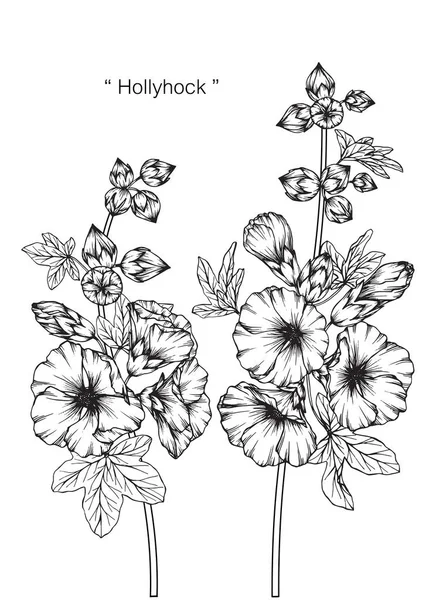 Hollyhock Bloem Tekenen Schetsen Met Zwarte Witte Lijn Kunst — Stockvector