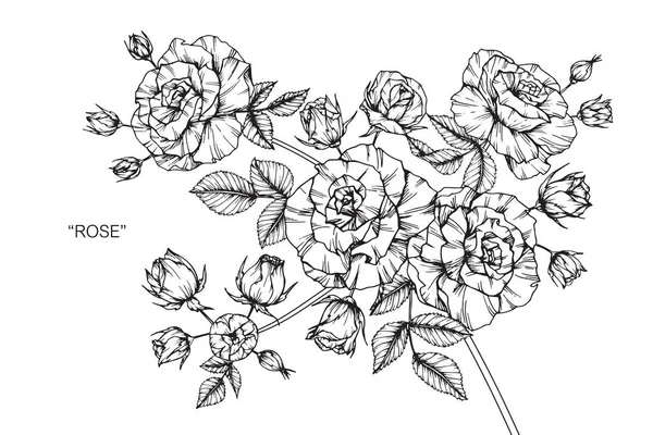 Flores Rosas Desenho Esboço Com Preto Branco Line Art —  Vetores de Stock