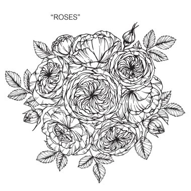 Buket gül çiçek Çizim.