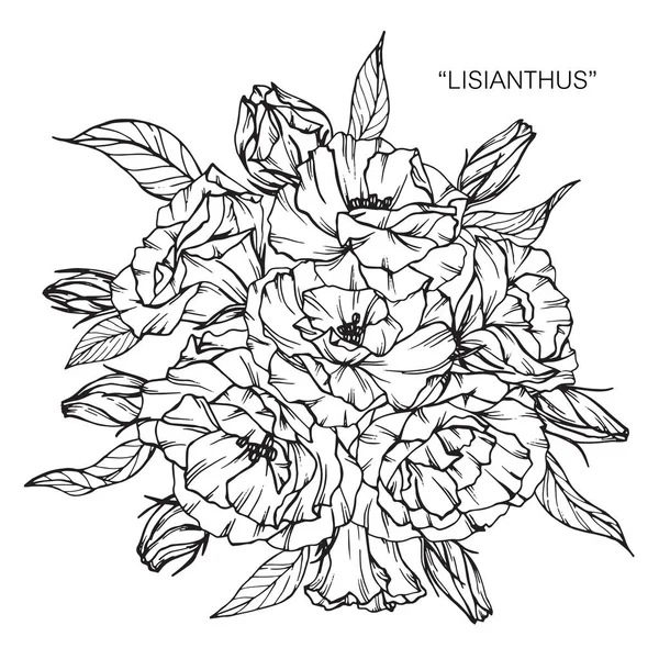 Buket lisianthus çiçek Çizim. — Stok Vektör