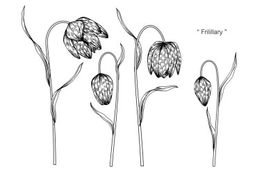 Satranç çiçek çizim şekil. 