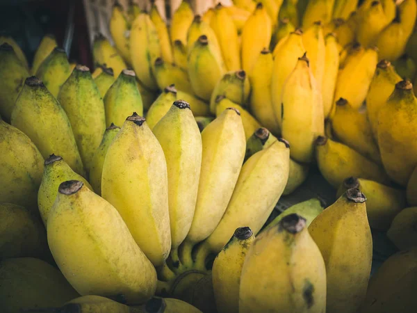 Group of yellow cultivated banana, ripe cultivated banana call Kluai Nam Wa in Thai. Cultivated banana with sunlight effect. — Stock Photo, Image
