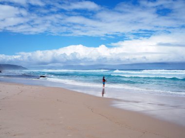 Albany Beach'de