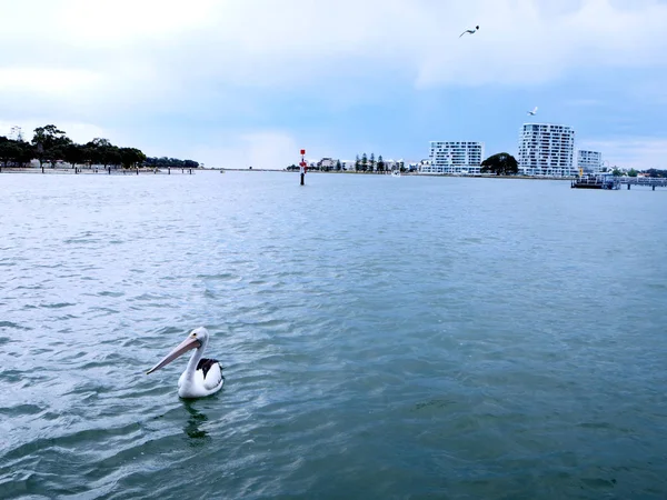 Mandurah Perth