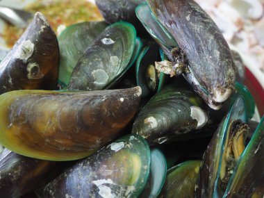 Tay sosu ile lezzetli buğulanmış midye