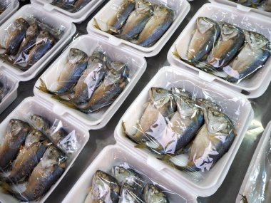 Uskumru balık veya platoo buharda 