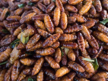 Kızarmış böcekler, Tayland Gıda Market. 