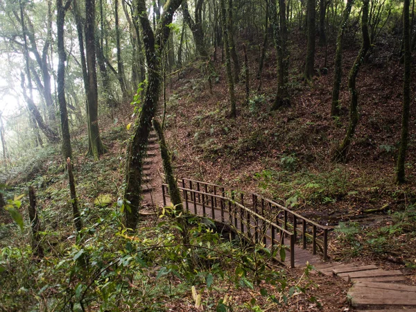 Kew Mae Pan doğa iz Doi Inthanon Milli Parkı, Tayland