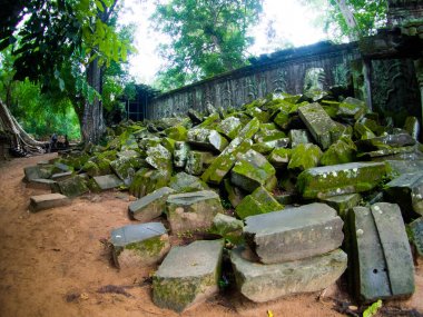 Ta Prohm Kalesi, Angkor Wat, Cambodia.