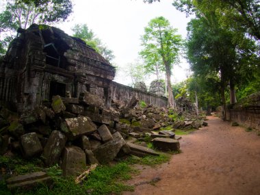 Ta Prohm Kalesi, Angkor Wat, Cambodia.