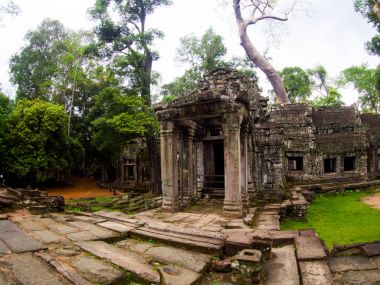 Ta Prohm Kalesi, Angkor Wat, Cambodia.