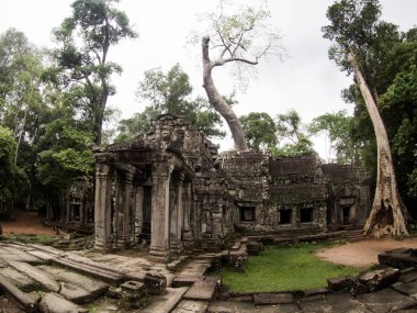 Ta Prohm Kalesi, Angkor Wat, Cambodia.