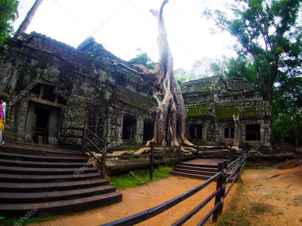 Ta Prohm Castle, Angkor Wat, Cambodia.