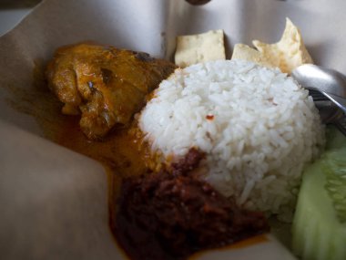 Penang yemek tavuk Köri soslu baharatlı, Malezya