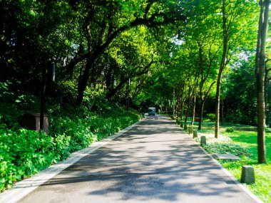 Yuexiu Park, Guangzhou city, Çin