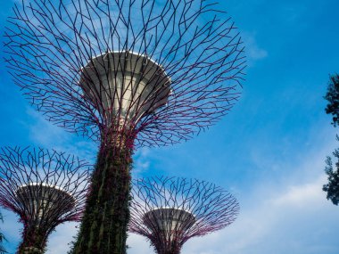 Bay, Singapur Eylül 2017 bahçelerle