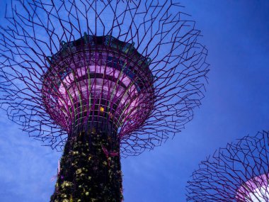 Bay, Singapur Eylül 2017 bahçelerle