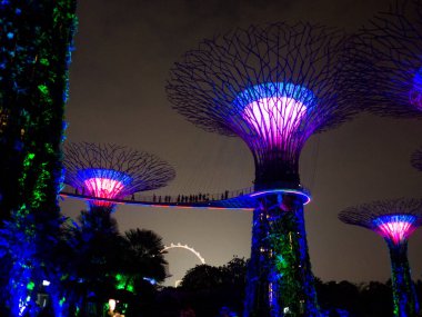 Gece lambasını Gardens Bay, Singapur Eylül 2017 tarafından