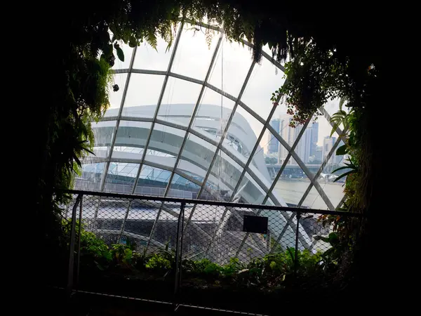 Waterfall in Cloud Forest Dome at Gardens by the bay, Singapore- — Stock Photo, Image