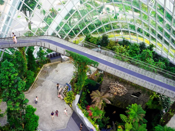 şelale bulut orman kubbe Gardens Körfez, Singapur-