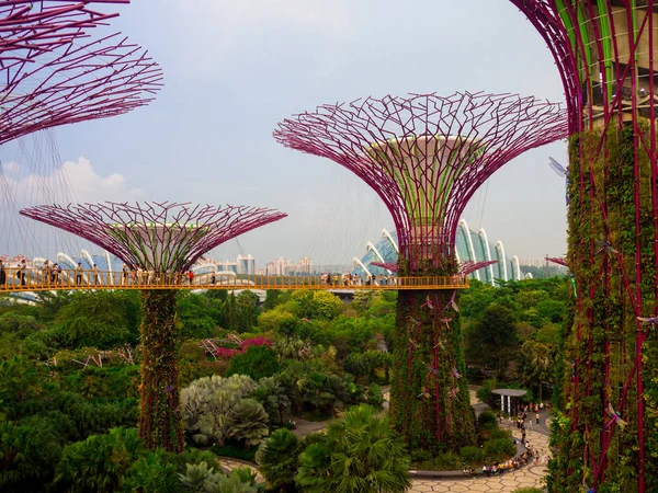 Jardins na Baía, Singapura SEP 2017 — Fotografia de Stock