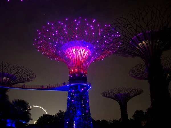 Luz noturna em Jardins perto da Baía, Singapura SEP 2017 — Fotografia de Stock