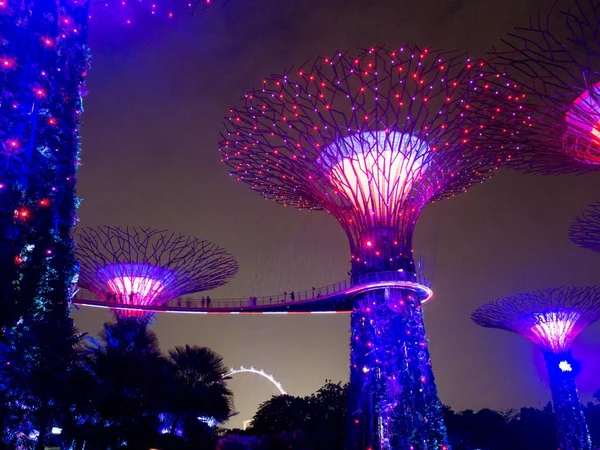 Luz noturna em Jardins perto da Baía, Singapura SEP 2017 — Fotografia de Stock