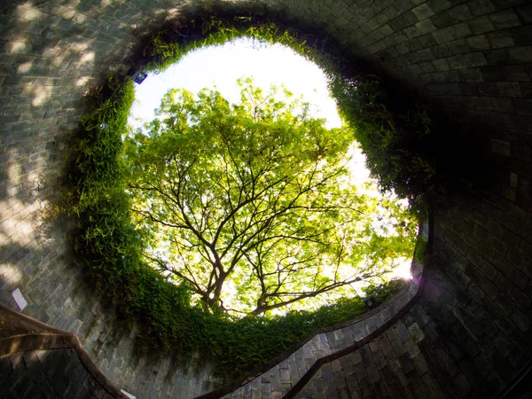 Fort konserve park, Singapur