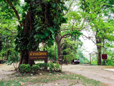 (Bua Tong) kuzey Thaila Chiang Mai yakın yapışkan şelaleler