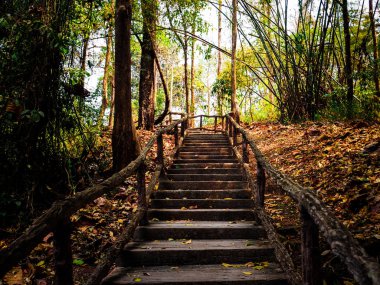 7 renk n snd yapışkan şelaleler Chiang Mai yakın çeşme