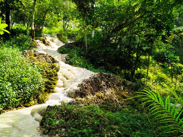 (Bua Tong) sticky waterfalls close to Chiang Mai in north Thaila — Stock Photo, Image