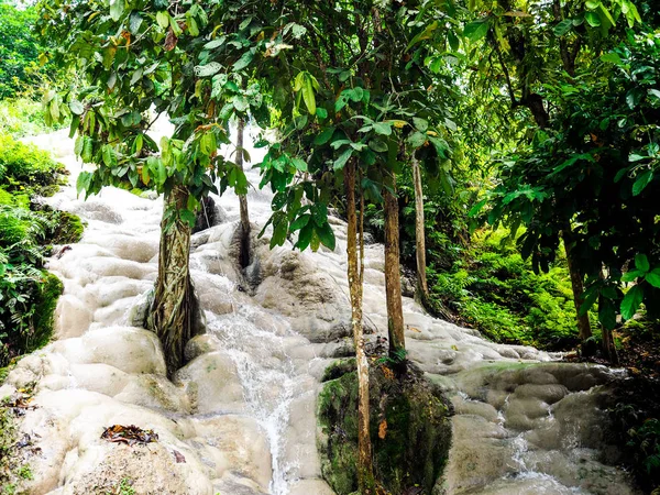 (Bua Tong) sticky waterfalls close to Chiang Mai in north Thaila — Stock Photo, Image