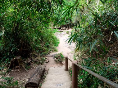 Khao Yai Ulusal Parkı, THAILAND, 18 Nisan 2019.