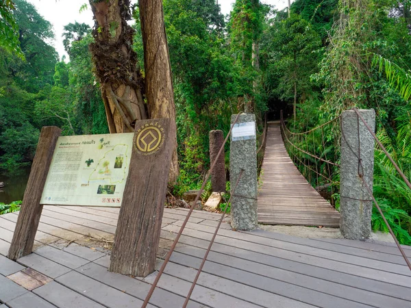 2019年4月18日 Khao Yai国家公园景观 — 图库照片
