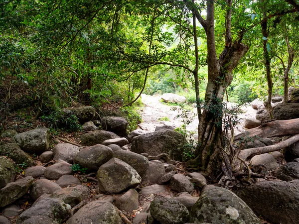 Haew Suwat Waterfall Khao Yai National Park Thailand April 2019 — Stock Photo, Image