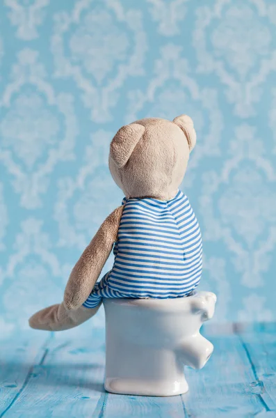 childrens soft toy teddy bear  sitting on the toilet in the doll house. Blue bathroom to . Playing with dolls in the family. Digestive problems, food poisoning.