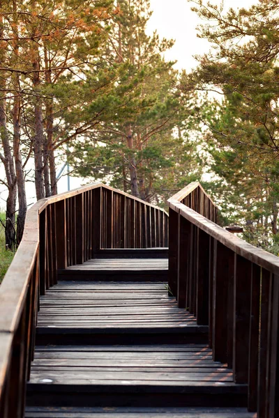 As escadas para ponte de madeira — Fotografia de Stock