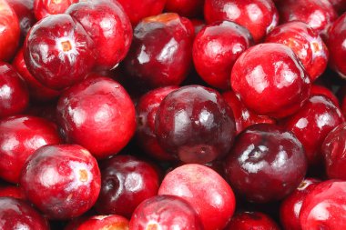 Siyah biber ham Kuru 