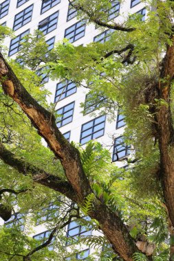 Yüksek doğmak pencereden üç Şube Binası