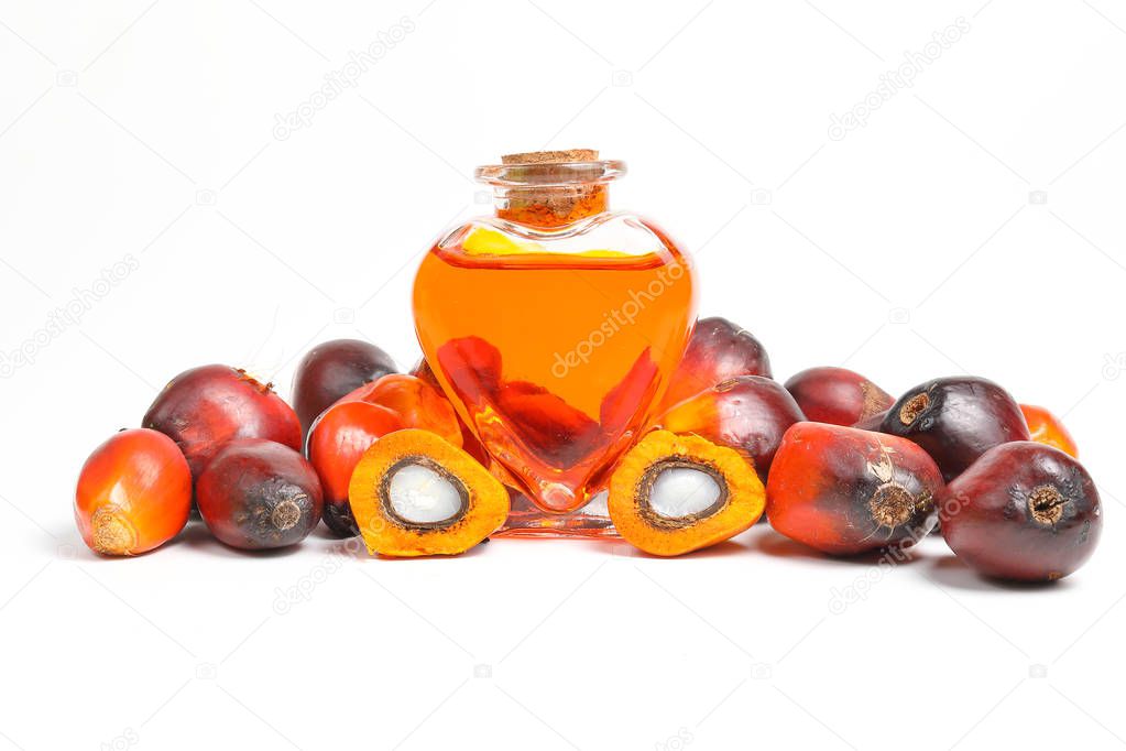 Oil Palm Fruit bulb bottle 
