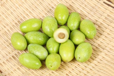 Yeşil küçük olive