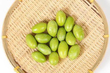 Yeşil küçük olive