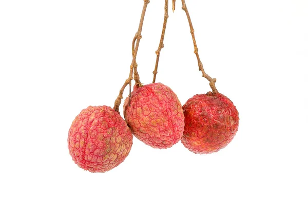 Lychee de fruits juteux mûr — Photo