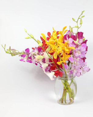 renkli orkide çiçek