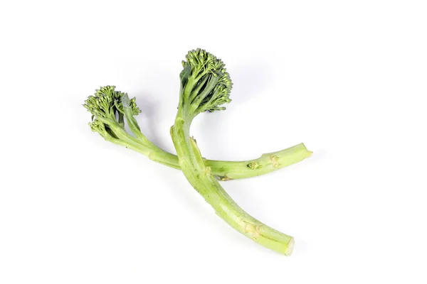 Dziecko zielony Broccol — Zdjęcie stockowe