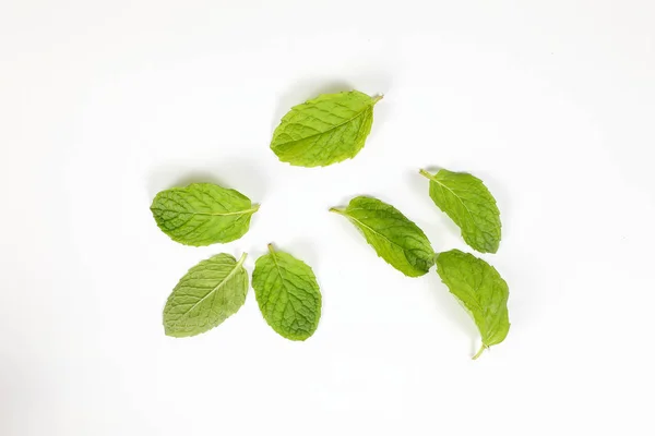 Green Mint Lea — Stok Foto