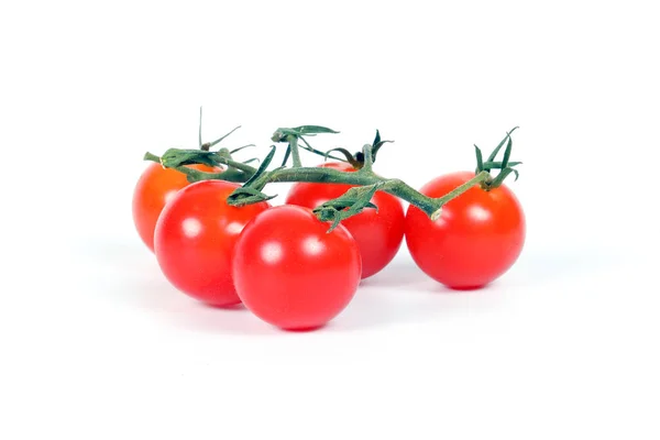 Fräsch färgglad tomat — Stockfoto
