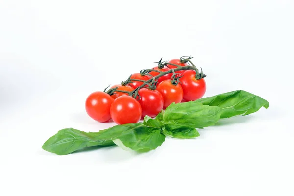 Tomato and Basil — Stock Photo, Image